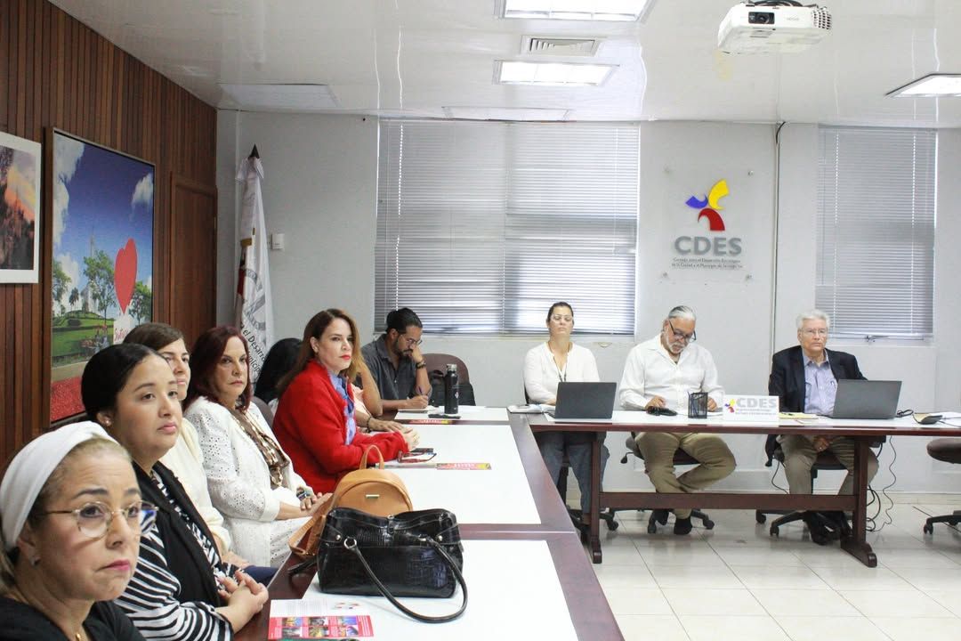Pirmer encuentro hacia la actualización de la Agenda de Cultura para el Desarrollo. 